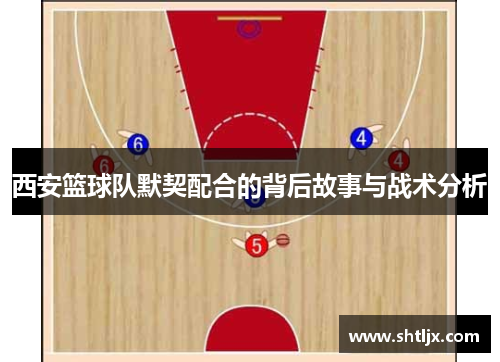 西安篮球队默契配合的背后故事与战术分析