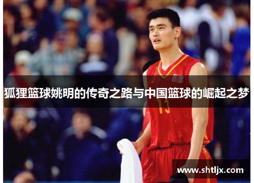 狐狸篮球姚明的传奇之路与中国篮球的崛起之梦