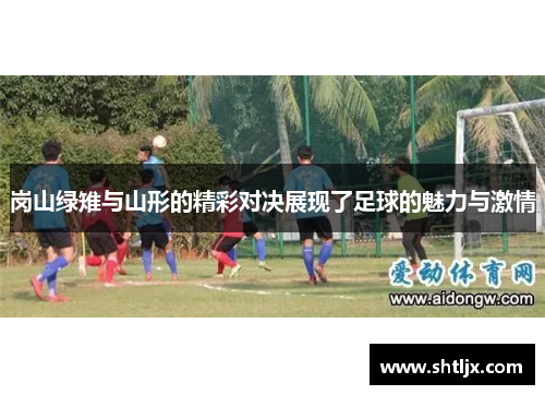 岗山绿雉与山形的精彩对决展现了足球的魅力与激情