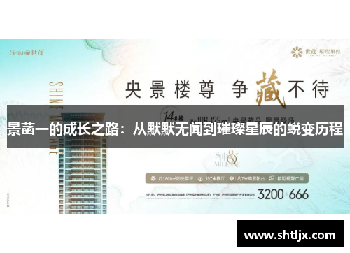 景菡一的成长之路：从默默无闻到璀璨星辰的蜕变历程
