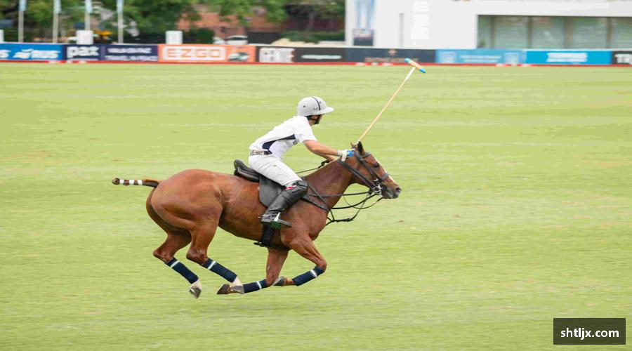 SBET实博·(中国区)集团周边好物，点燃你的运动魂！🔥